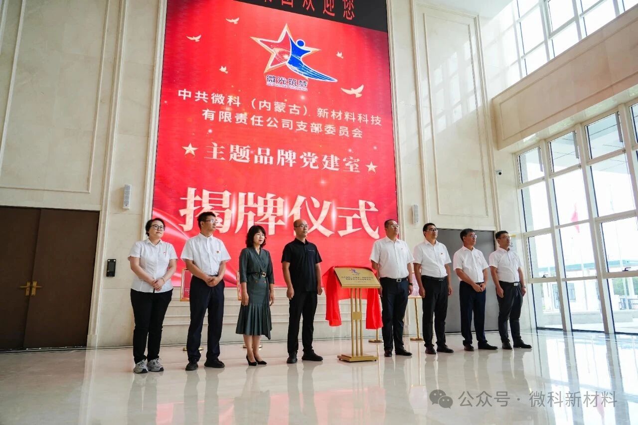 点燃红色引擎　驱动“以联建促业务”并入快车道——记微科“微光筑梦”主题党建室揭牌仪式暨大型党日联建活动顺利闭幕