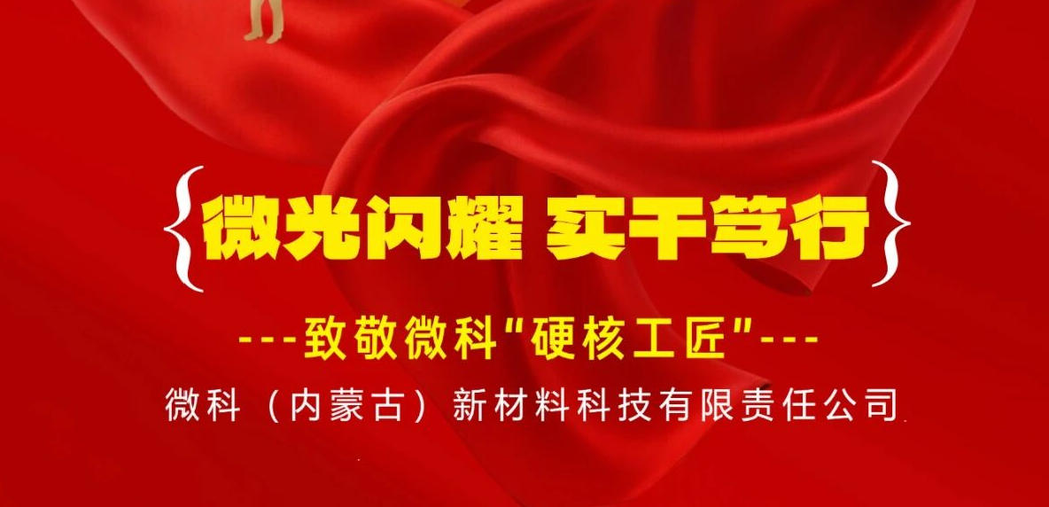 微光闪耀 实干笃行——致敬闪闪发光的你们